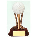 Golf Ball on Clubs Awards
