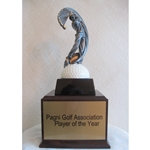 Golf Motion Extreme Perpetual Trophies