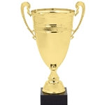 Gold Or Silver Trophy Cups with Design Band