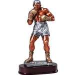 Boxer Large Resin Series Trophies