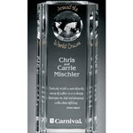 Capricorn Global Crystal Awards