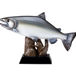 Salmon Fish Trophy