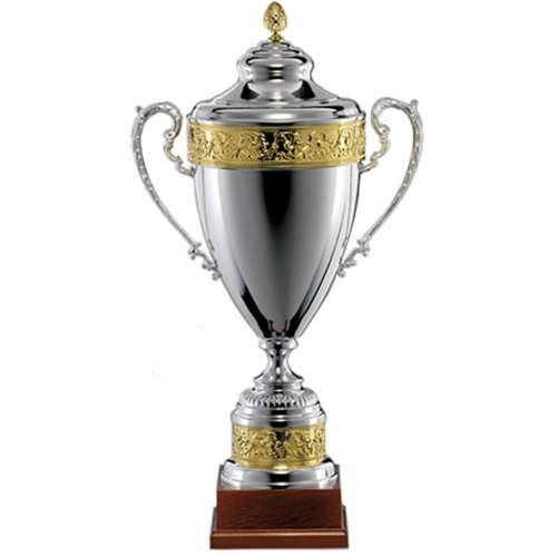 Multisport Purple Silver Conical Column Trophy Cup FREE Engraving  SUPERB PRICE 