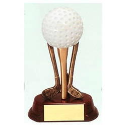 Golf Ball on Clubs Award