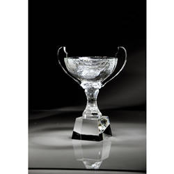 Crystal Trophy Cup with Handles