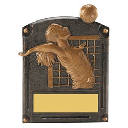 Volleyball Female Legends of Fame Trophy/Plaque