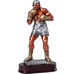 Boxer Large Resin Series Trophy