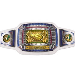 Top Sales Champion Award Belts