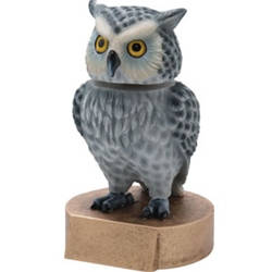 Owl Bobblehead Trophies