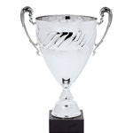 Silver Trophy Cups with Design
