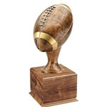 Large Football Trophy on Wood Base