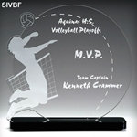 Volleyball Acrylic Awards