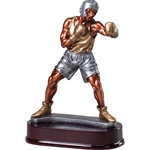 Boxing Resin Trophies
