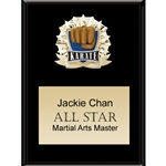 Karate All Star Plaques