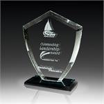 Velocity Crystal Shield Award