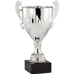 Arezzo Trophy Cups
