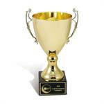 Gold Metal Trophy Cup