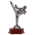 Karate RFC Trophies