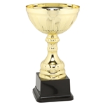 Casilina Gold Trophy Cups