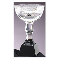 Crystal Trophy Cups on Black Base