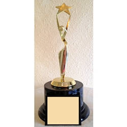 Reach For The Stars Trophy