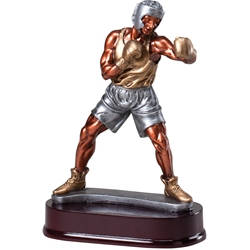 Boxing Resin Trophy