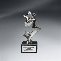 Silver Cascade Metal Stars Award