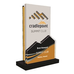 Cradlepoint Custom Trophy