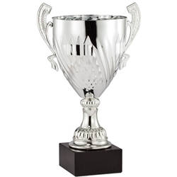 Arezzo Italian Trophy Cups