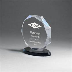 Octagon Acrylic Excellence Award