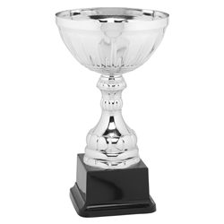 Casilina Silver Trophy Cups