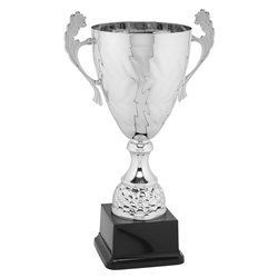 Avellino Silver Trophy Cups
